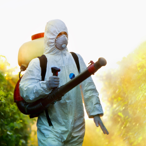 Manejo Integrado de Plagas y Enfermedades (MIPE) NEURIXD